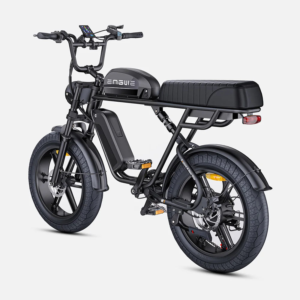 ENGWE M1 Electric Bicycle 250W Motor Hydraulic Brake 20*4.0-In Fat Tire All Terrain E-bike