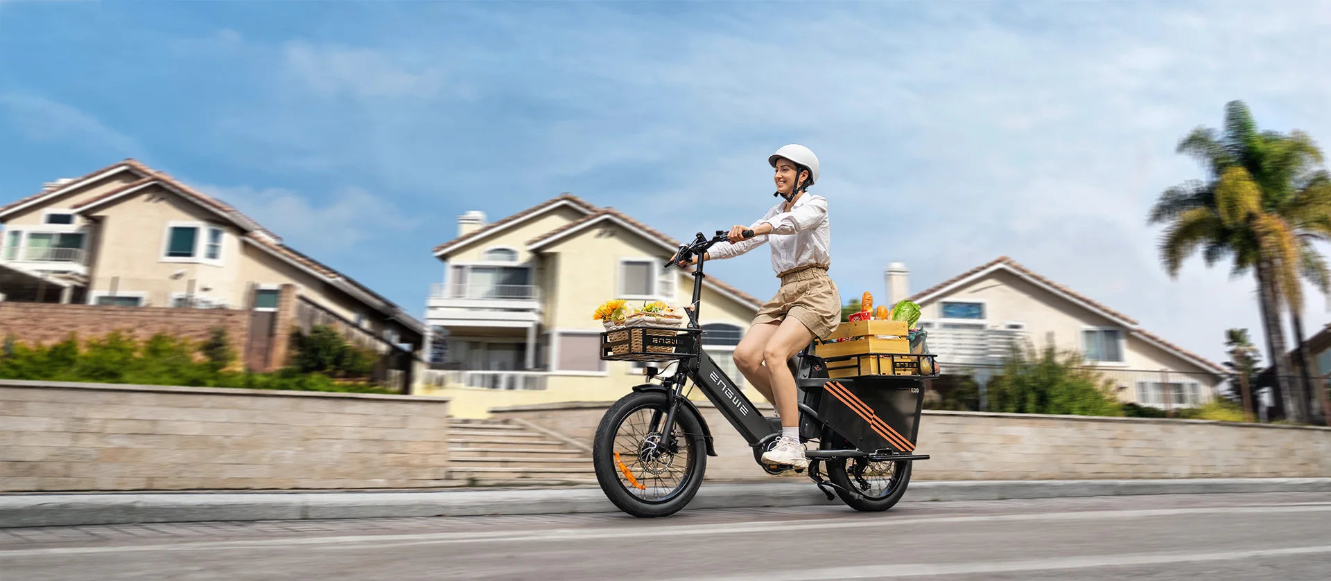 ENGWE LE20 Luxury Foldable Cargo Electric Bike