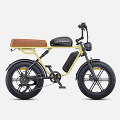 ENGWE M1 Electric Bicycle 250W Motor Hydraulic Brake 20*4.0-In Fat Tire All Terrain E-bike