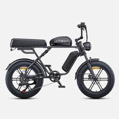 ENGWE M1 Electric Bicycle 250W Motor Hydraulic Brake 20*4.0-In Fat Tire All Terrain E-bike